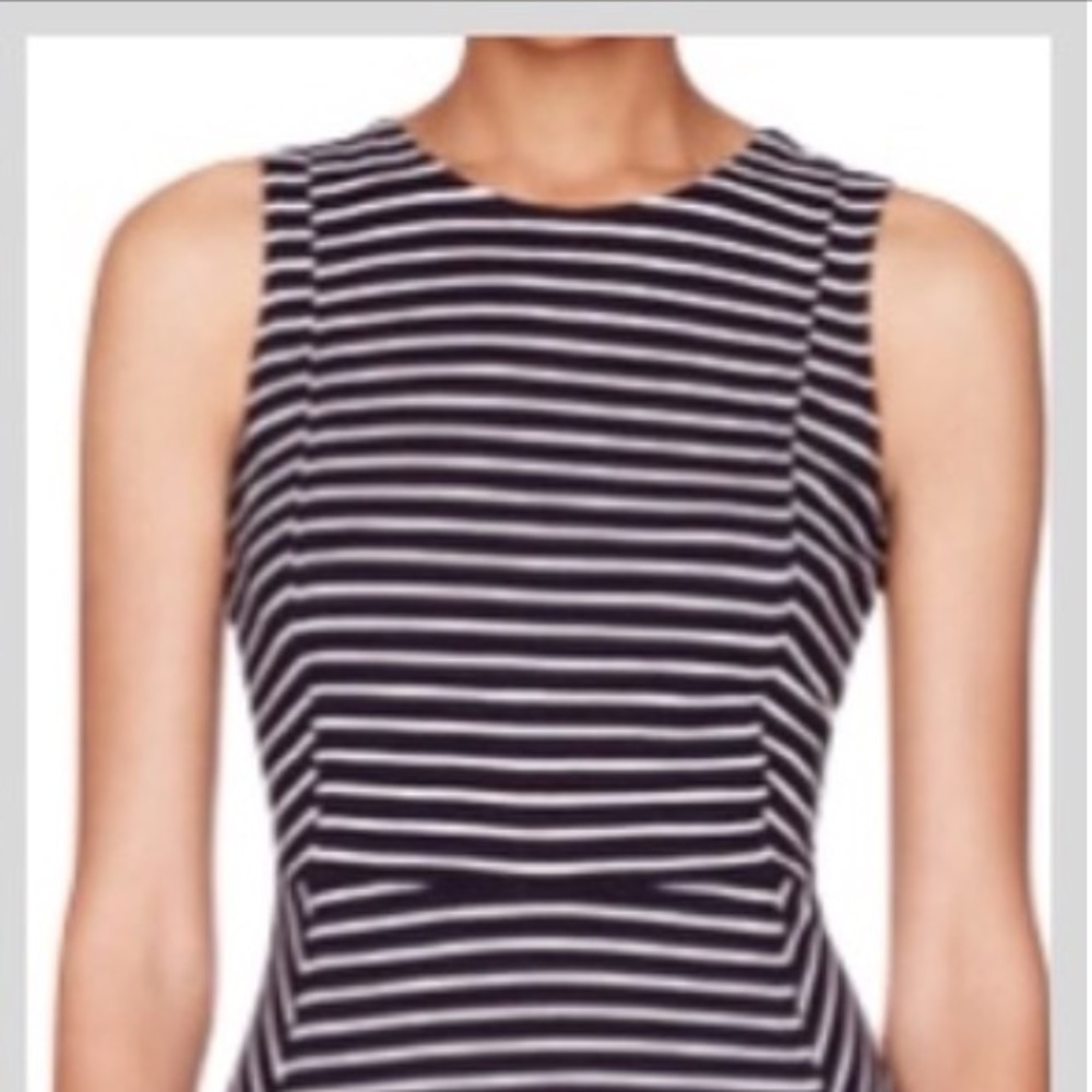 J Crew striped pointe skater dress
